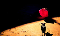 A matador with a red cape facing off against an angry bull
