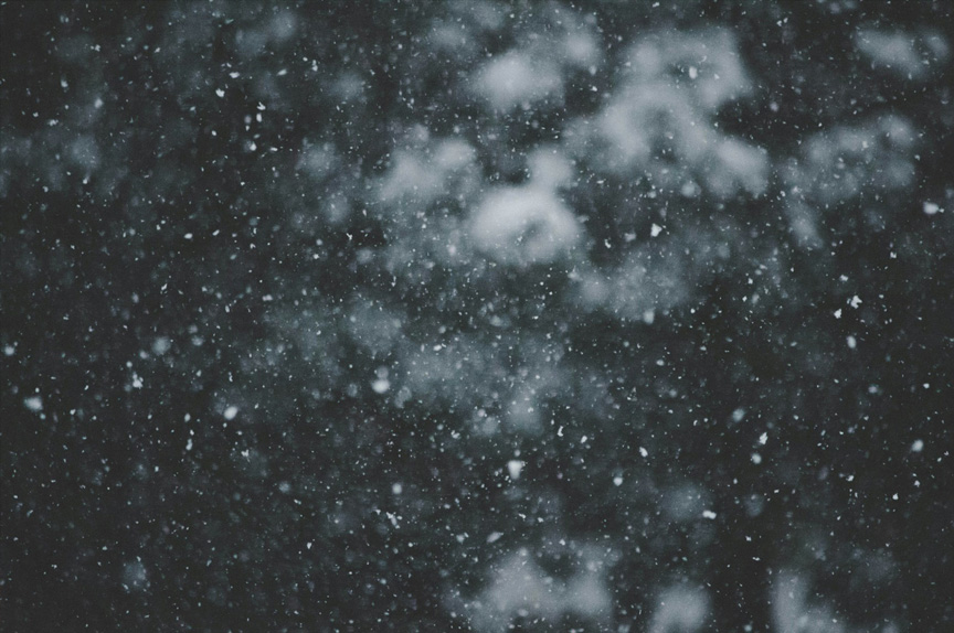 White flakes of snow falling against a blurred forest background. The image is dark and very low-key in lighting.